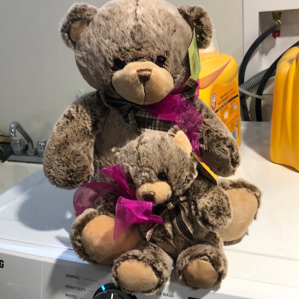 - 2 teddy bears plush toys